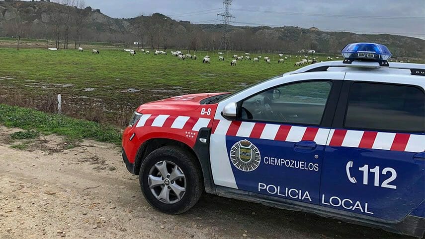 Oposiciones Ciempozuelos 4 plazas policía local 8/09/2021 y 22/09/2021 – Aptos Ciempozuelos y fecha próximo examen 01/10